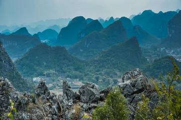 骊威和飞度有什么不同？