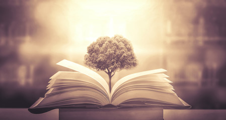 巴博斯300X皮卡亮相于第二十二届成都国际车展