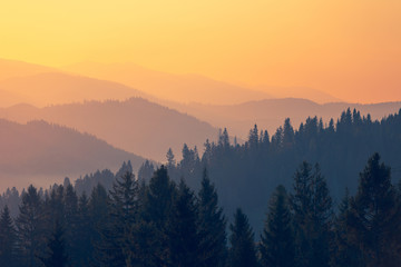 牧马人罗宾汉价格