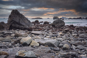 牧马人罗宾汉价格