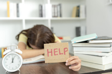 雪佛兰星迈罗 - 打虎亲兄弟？