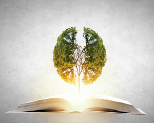 四门四座的敞篷跑车有哪些？